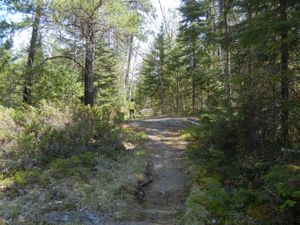 Turtle Lake Portage