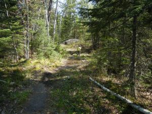 Turtle Lake Portage