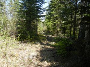 Turtle Lake Portage