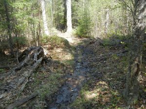 Turtle Lake Portage