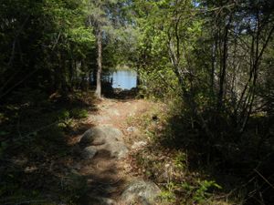 Turtle Lake Portage