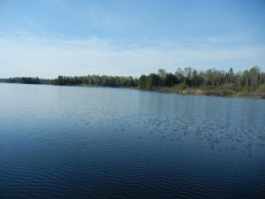 Bald Eagle Lake