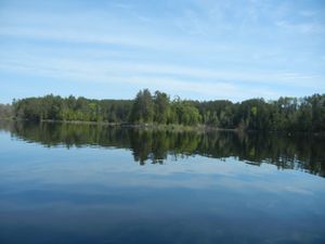 Bald Eagle Lake