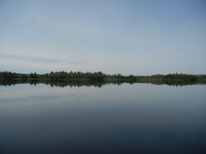 Bald Eagle Lake