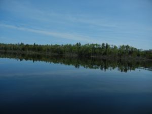 Bald Eagle Lake