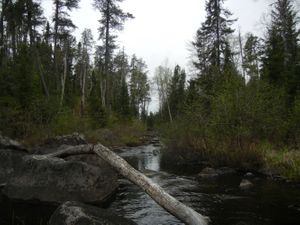 Bald Eagle Creek