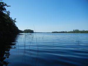 Sturgeon Lake