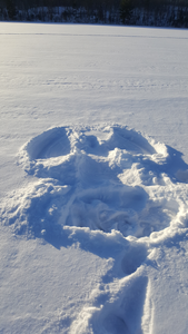 Snow Angel 1