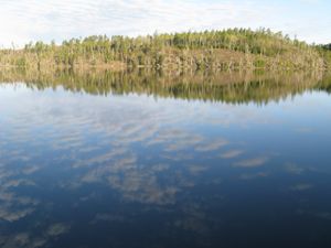 IMG_0144.JPG