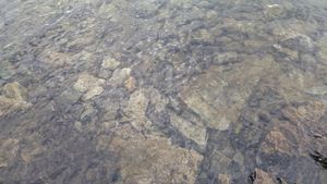 0712151857a_HDR.jpg