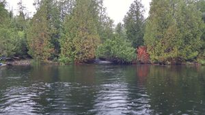 0713151237_HDR.jpg