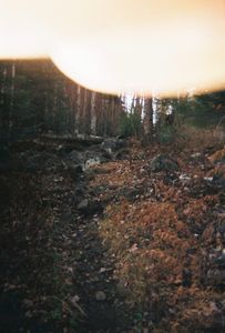 Portage 686