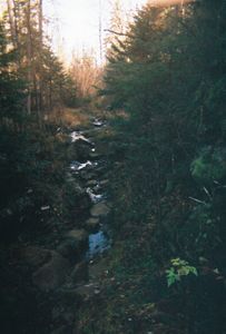 Portage 686