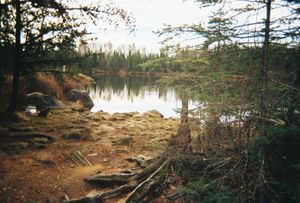 Missing Link landing