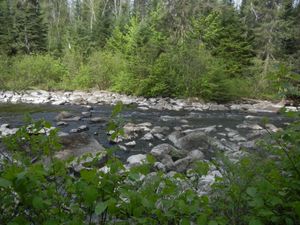 Portage #852