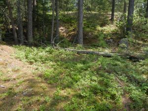 Campsite #298