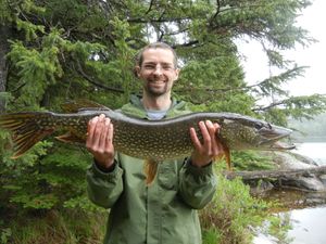 Nice Northern from Camp