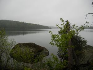Campsite #194