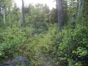 Portage #458