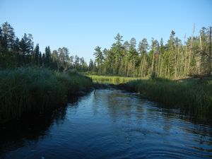 Beaver Dam on Little Indian Sioux