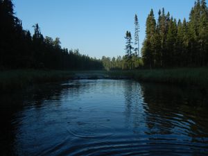 Beaver Dam on Little Indian Sioux