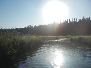 Beaver Dam on Little Indian Sioux