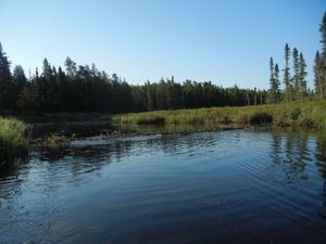 Beaver Dam on Little Indian Sioux