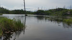 Gotter lake coming out of Brandt