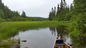 Portage into Bat Lake