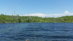 Peter Lake , West end