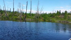 Portage at Little Saganaga Lake