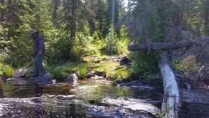 Portage out of Polly to Phoebe River