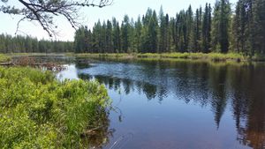 Portage #627 into Phoebe River