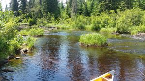 97 rod portage on Phoebe River