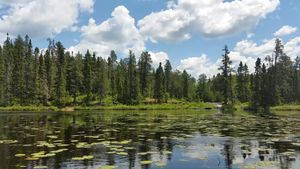 Phoebe River at Potage