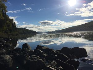 Calm Pine Lake