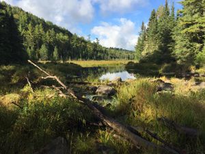 Above Johnson Falls