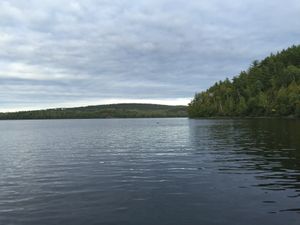 Moose Lake