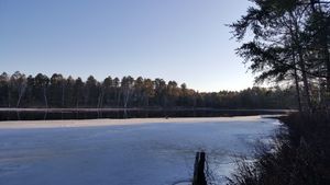 View of the cabins/houses