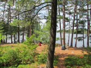 Crab campsite