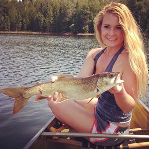 Tuscarora Lake Trout 2