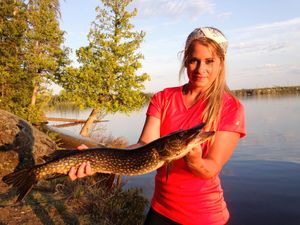 Crooked Lake Northern