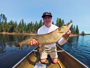 Big Northern