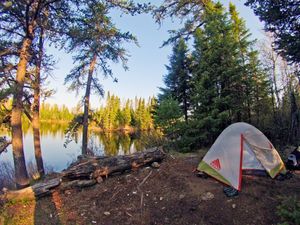Bologna Campsite