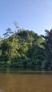 Tortuguero Hill