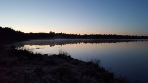 Morning on Nixon Lake 1