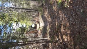 Portage trail