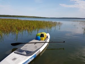 20160903_102334.jpg