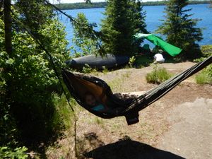 Aurora in the hammock