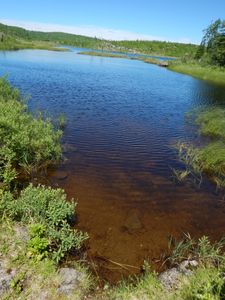 Seahorse Lake